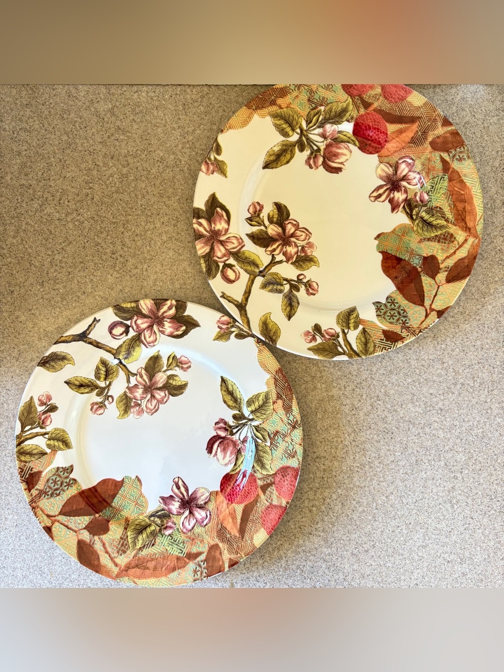 Royal Stafford Dinner Plates Lot Of 2 Vintage Garden England Floral